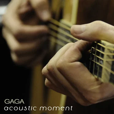 Acoustic Moment by GAGA (Dragan Petrovic GAGA) - album cover