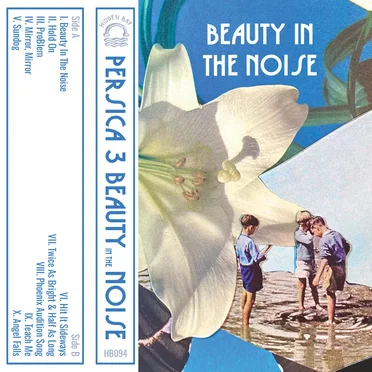 Beauty in the Noise