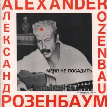 Меня не посадить