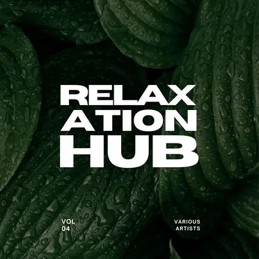Relaxation Hub, Vol. 4 by Various Artists - album cover