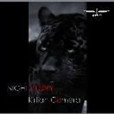 Nightglory