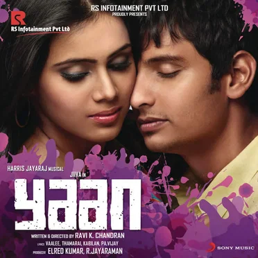 Yaan