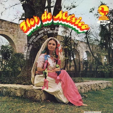 Flor de México by Cunjunto de cuerdas de Pepe Guzman - album cover