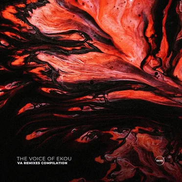 The Voice of Ekou by Various Artists - album cover