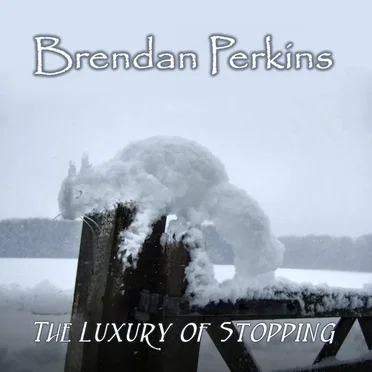 The Luxury of Stopping
