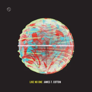 Like No One by James T. Cotton - album cover