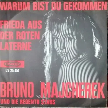 Warum Bist Du Gekommen