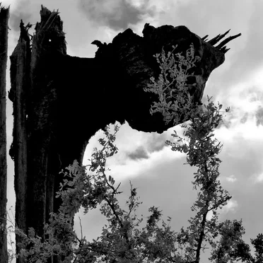 Live at 24h DEEP LISTENING Festival