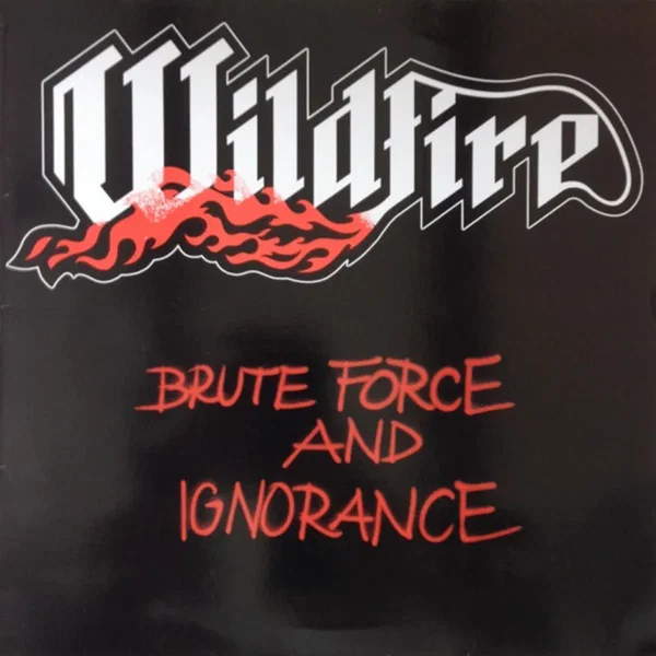 Brute Force and Ignorance