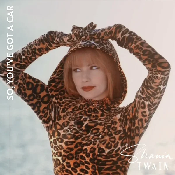 So, You’ve Got a Car