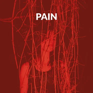 PAIN by ANA ANA - album cover