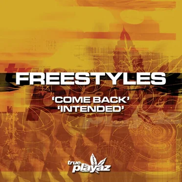 Come Back / Intended by Freestyles - album cover