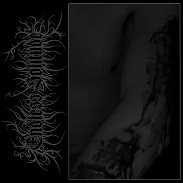 Fiumi di dolore by Endless Solitude - album cover
