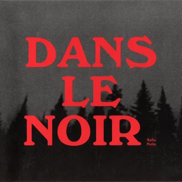 Dans le noir