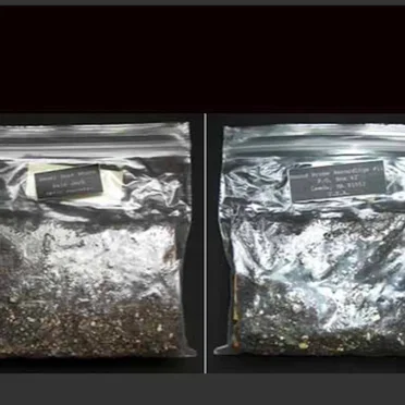 Electro-Blues / Pig Wagon EP