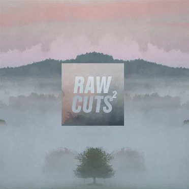 Chillhop Raw Cuts 2 by Various Artists - album cover