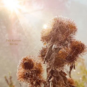 Bir An by Deli Kuvveti - album cover