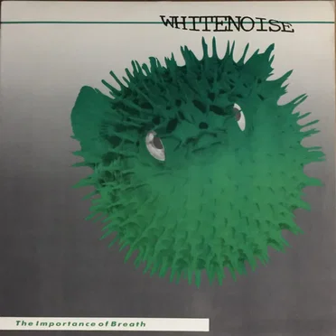 Whitenoise