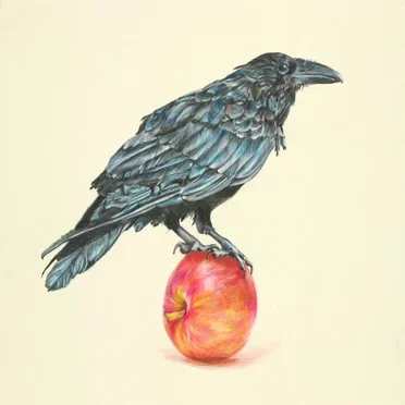 London October 29, 2008