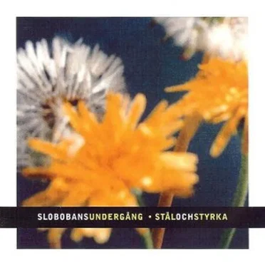 Slobobans undergång