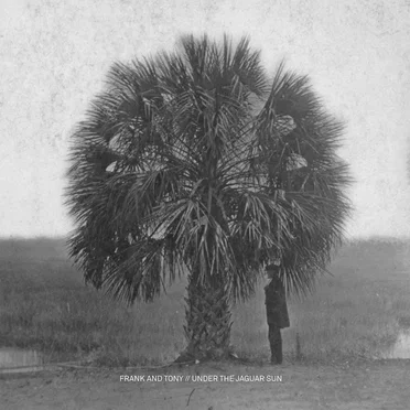 Under The Jaguar Sun by Frank and Tony - album cover