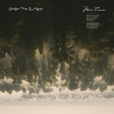 Miin triuwa by Under the Surface - album cover