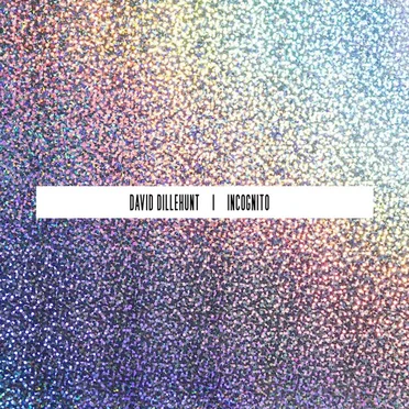 Incognito (EP) by David Dillehunt - album cover