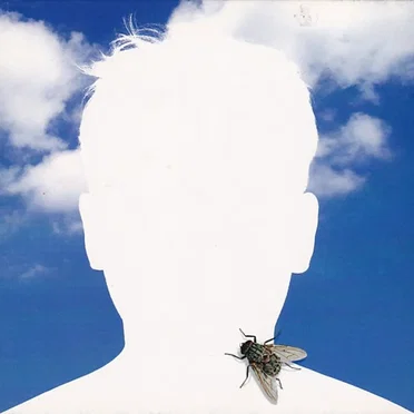 Composers' Voice Portrait: Richard Ayres