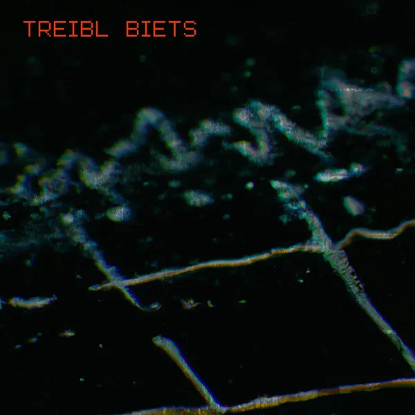 Treibl Biets
