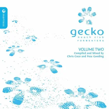 Gecko Beach Club Formentera, Volume 2 by Various Artists - album cover