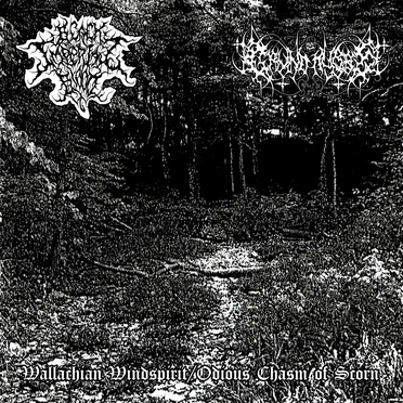 Wallachian Windspirit / Odious Chasm of Scorn by Black Imperial Blood - album cover