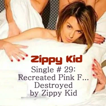 Single # 29:Recreated Pink F… Destroyed by Zippy Kid
