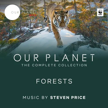 Forests (Our Planet, Episode 8) by Steven Price - album cover