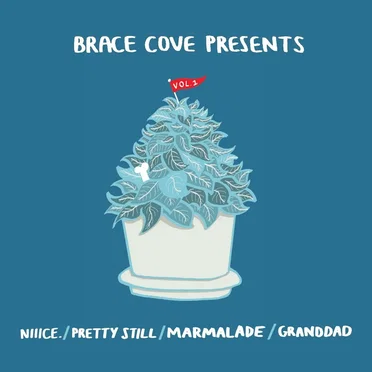Brace Cove Presents (Vol. 1) by Various Artists - album cover