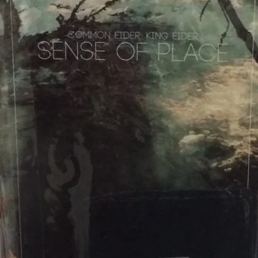 Sense of Place