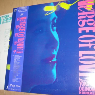VERGE OF LOVE 武道館ライヴ