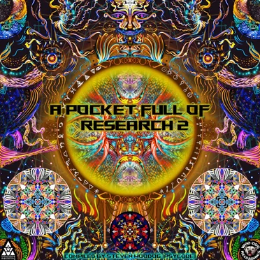 A Pocketful of Research 2 by Various Artists - album cover