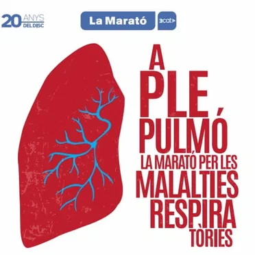 El disc de La Marató 2024 by Various Artists - album cover