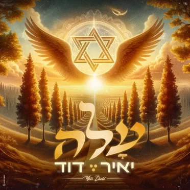 יאיר דוד