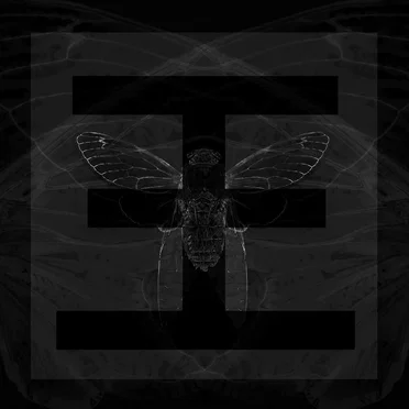 Cicada by Reflections - album cover