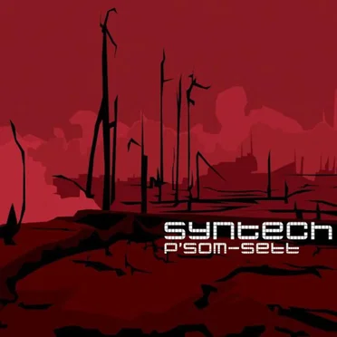 P'som-Sett by Syntech - album cover