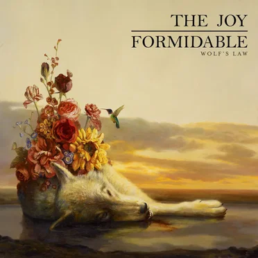 Wolf’s Law by The Joy Formidable - album cover