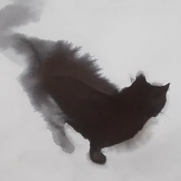 Invisible Elephant