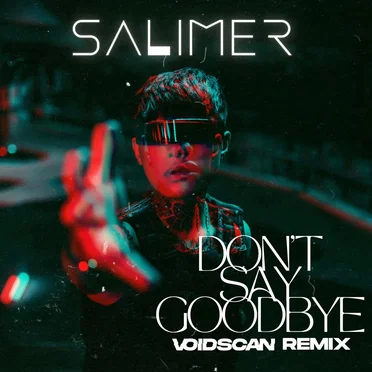 Don't Say Goodbye (Voidscan Remix) by SAlimer - album cover