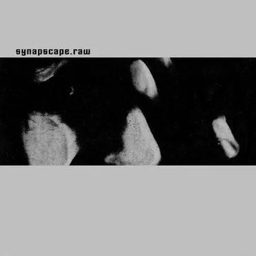 Raw by Synapscape - album cover