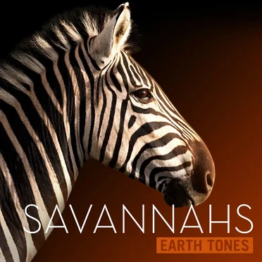 Savannahs