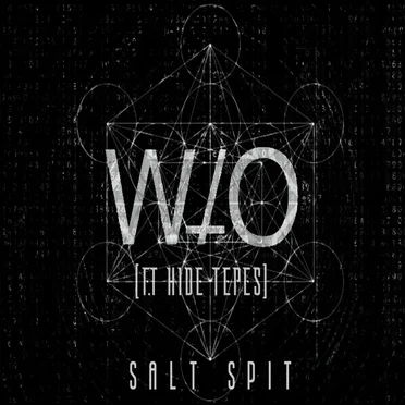 SALT SPIT