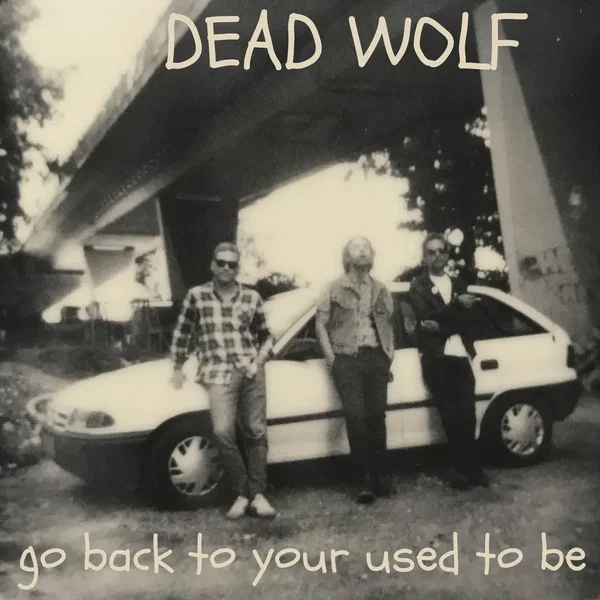 Go Back to Your Used to Be