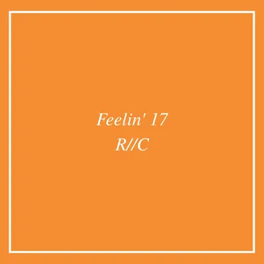 Feelin' 17 by Rare Candy - album cover