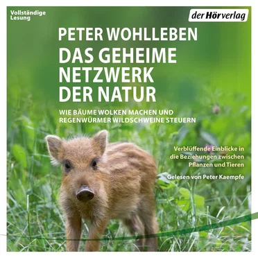 Das geheime Netzwerk der Natur: Wie Bäume Wolken machen und Regenwürmer Wildschweine kontrollieren by Peter Wohlleben - album cover